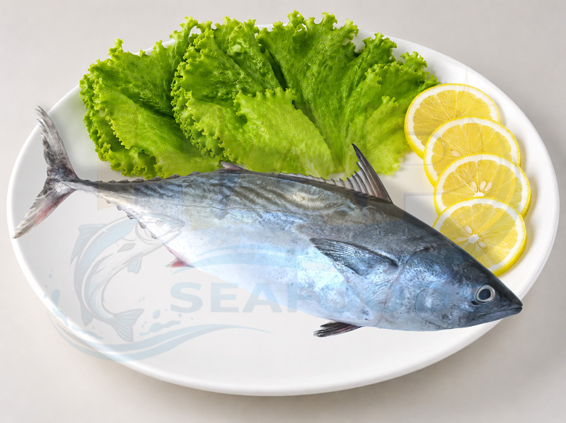 Cá ngừ bông - Hình ảnh 5